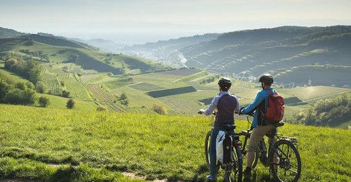 Württemberger Weinradweg