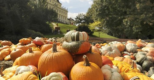 Ludwigsburg Kürbisausstellung